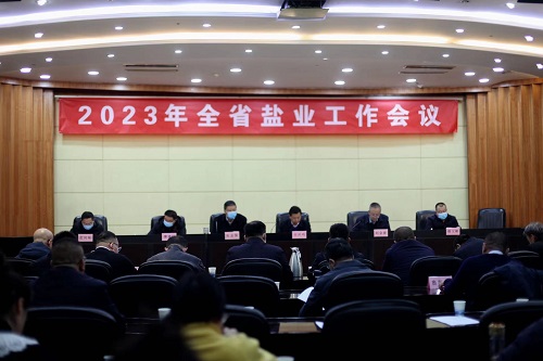 荣耀体育网页版召开2023年全省盐业工作会议