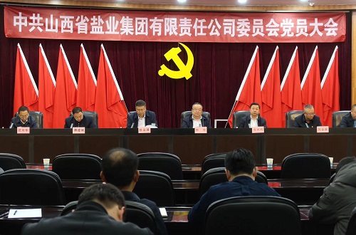 荣耀体育网页版圆满完成党委、纪委换届选举工作