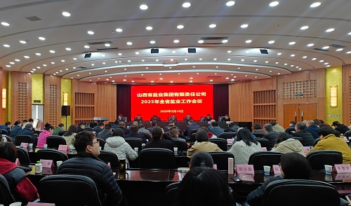 山西省盐业集团全面安排部署2025年全省盐业工作任务